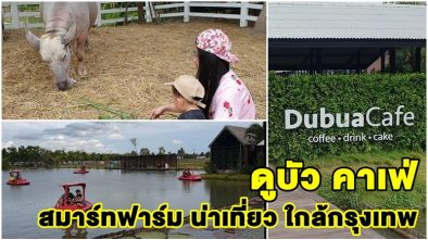 ดูบัว คาเฟ่ ที่เที่ยวใกล้กรุงเทพ ฟาร์มสุดสมาร์ท จิบกาแฟ เดินทุ่ง บรรยากาศสุดฟิน