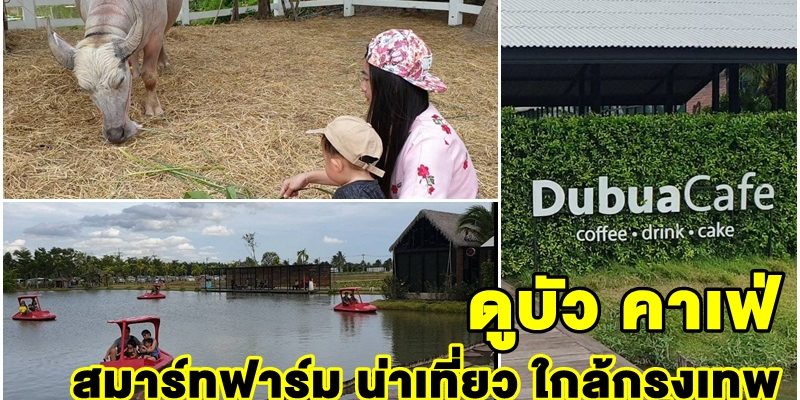 ดูบัว คาเฟ่ ที่เที่ยวใกล้กรุงเทพ ฟาร์มสุดสมาร์ท จิบกาแฟ เดินทุ่ง บรรยากาศสุดฟิน